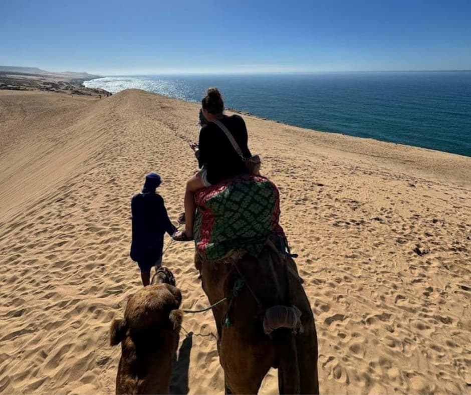 imsouane-activities-camel_01