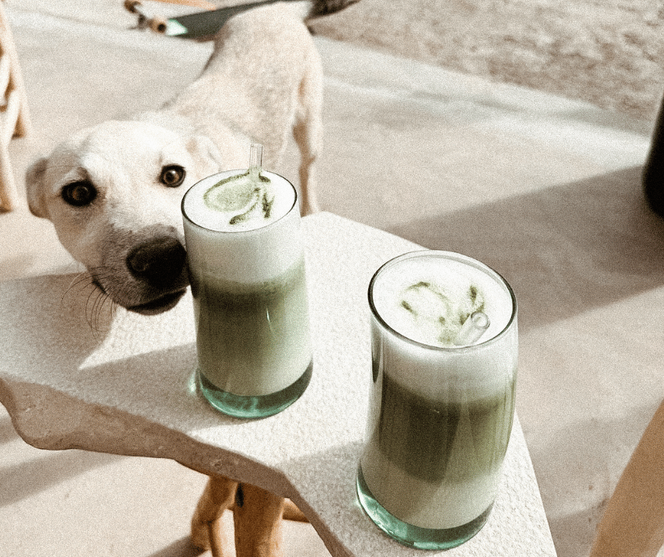 imsouane-activities-nosnos_02